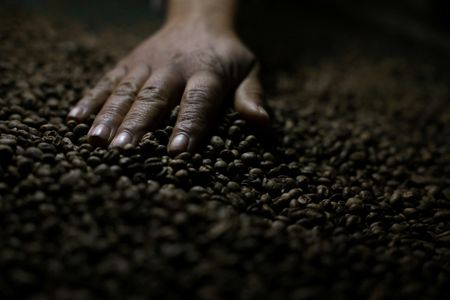 Setor de café solúvel do Brasil busca clareza sobre decisão dos EUA de manter tarifa de 50%