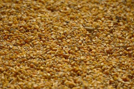 Inpasa diz que fará a 1ª exportação de DDGS de milho do Brasil à China