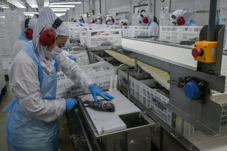 Desemprego no Brasil caiu para 5,6% em 2025, menor índice da série histórica