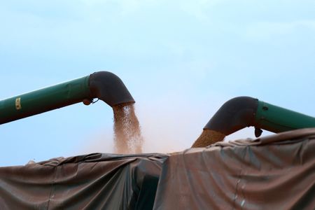 Soja recua de máxima de quase dois anos; milho avança com posicionamento antes do fim de semana