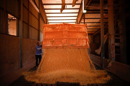 Soja cai após Suprema Corte derrubar tarifas dos EUA