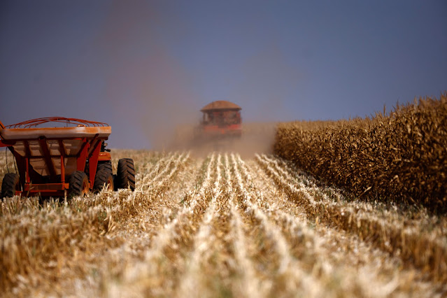 Pedidos de RJ no agro do Brasil sobem 33% no 1º tri e podem bater recorde em 2026, aponta Neot