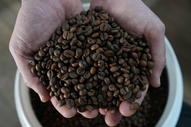 Exportação de café do Brasil salta no início de setembro; embarque de petróleo também dispara
