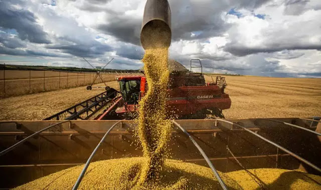 Safra brasileira de grãos alcançará 353 milhões de toneladas este ano, 2% a mais que em 2025