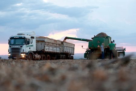 Soja e milho ficam estáveis em Chicago, trigo sobe